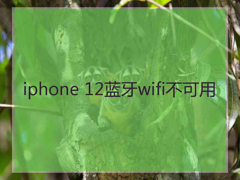 iphone 12蓝牙wifi不可用