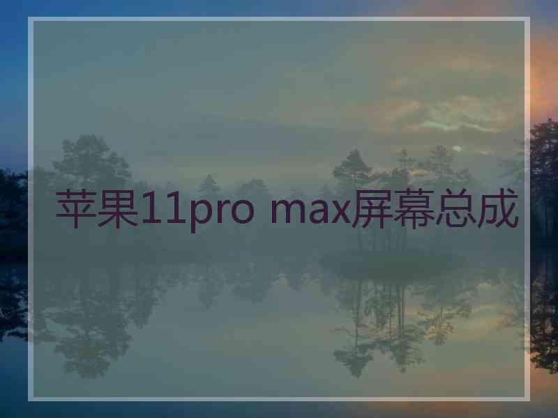 苹果11pro max屏幕总成