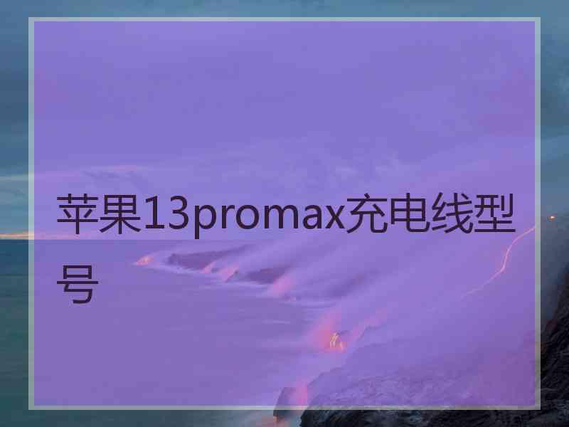 苹果13promax充电线型号