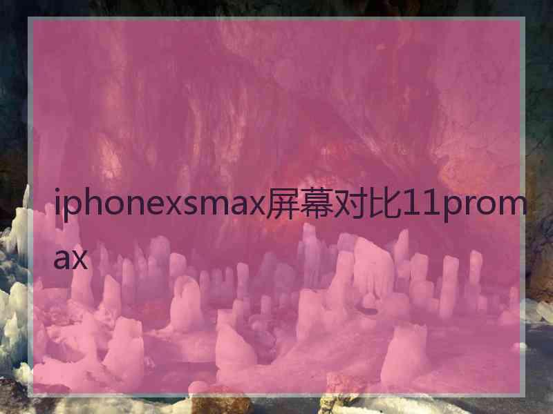 iphonexsmax屏幕对比11promax