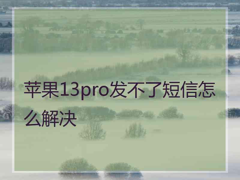 苹果13pro发不了短信怎么解决