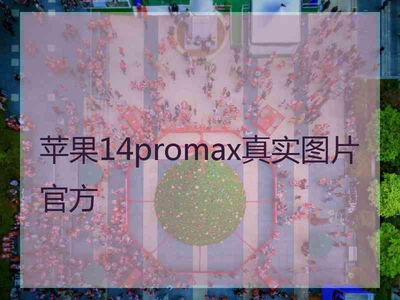 苹果14promax真实图片官方