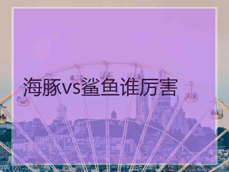 海豚vs鲨鱼谁厉害