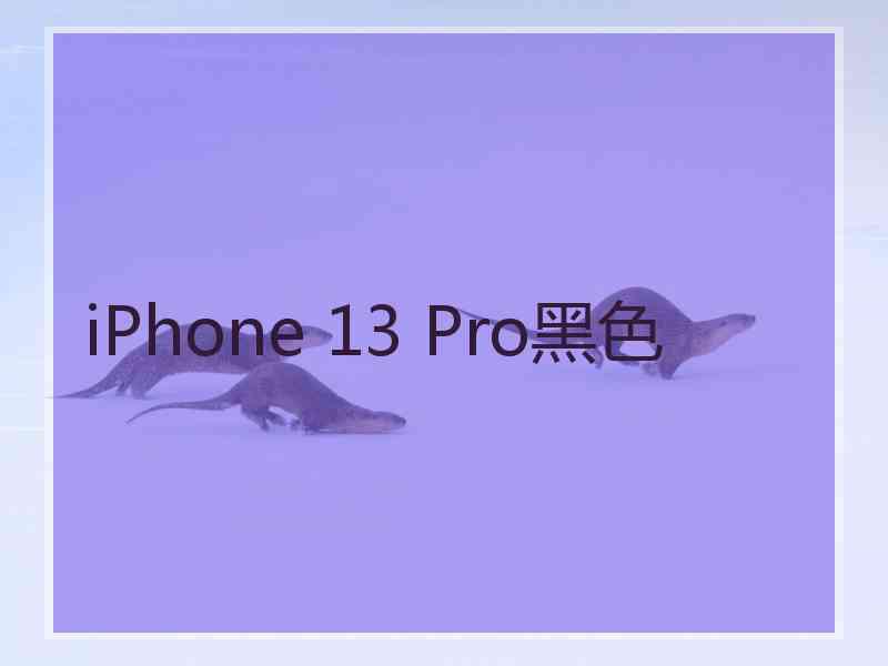 iPhone 13 Pro黑色