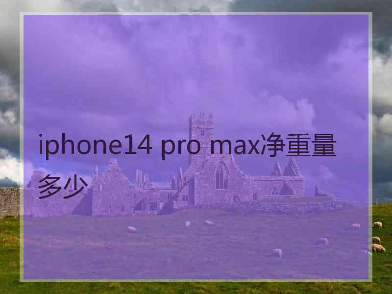 iphone14 pro max净重量多少