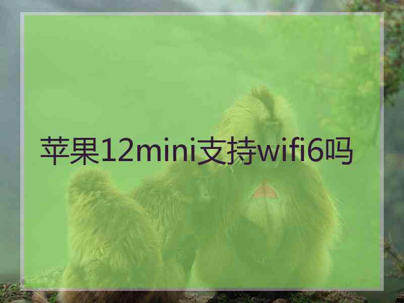 苹果12mini支持wifi6吗