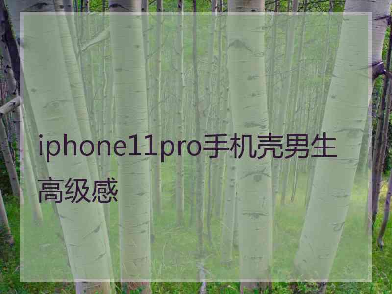 iphone11pro手机壳男生高级感