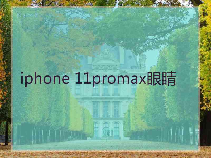 iphone 11promax眼睛