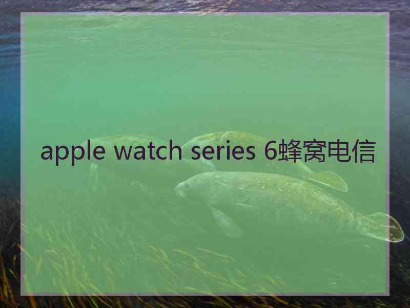 apple watch series 6蜂窝电信