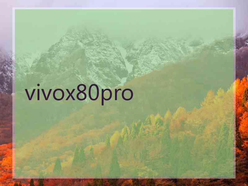 vivox80pro