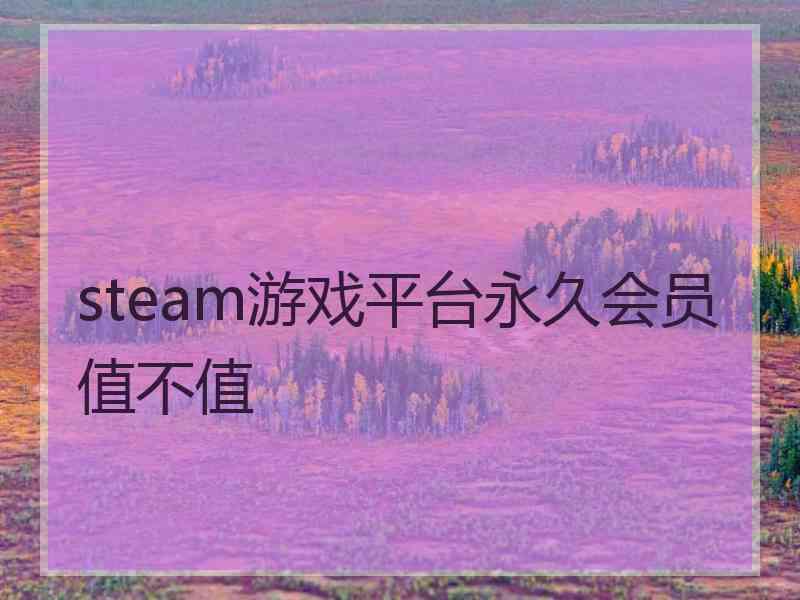 steam游戏平台永久会员值不值