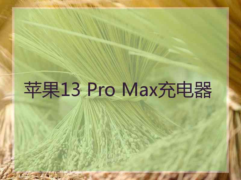 苹果13 Pro Max充电器