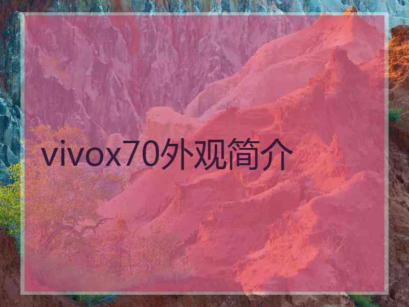 vivox70外观简介