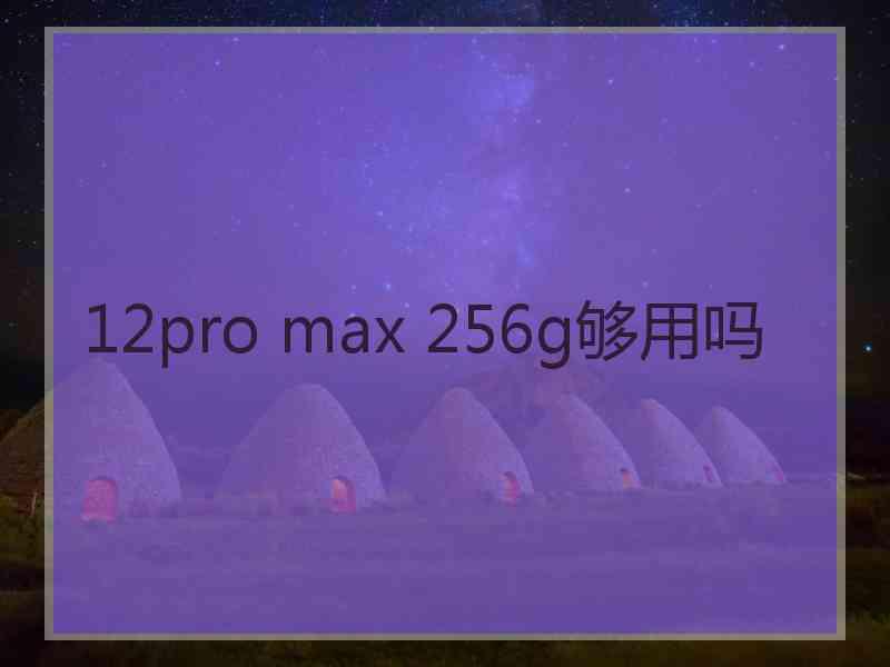 12pro max 256g够用吗