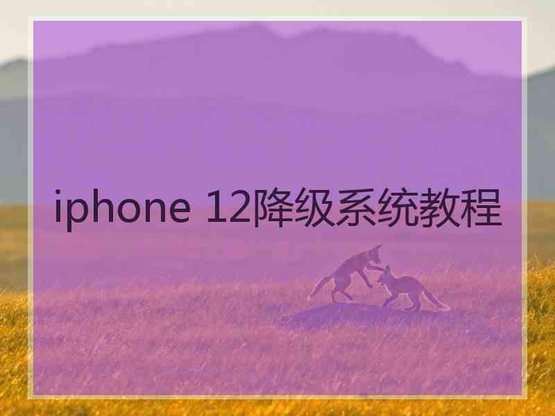 iphone 12降级系统教程