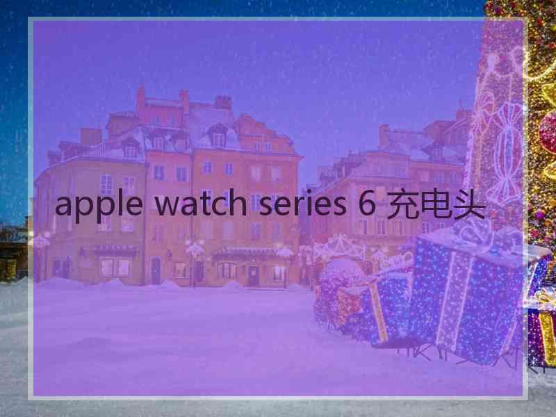 apple watch series 6 充电头