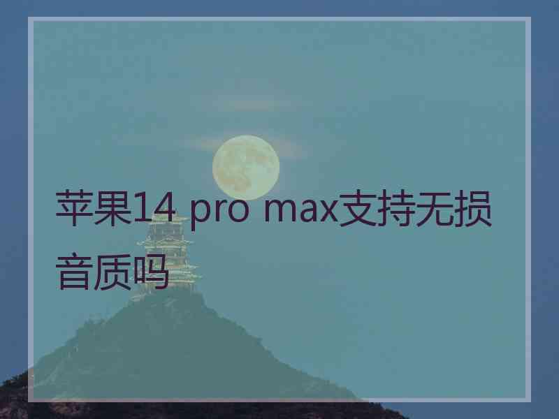 苹果14 pro max支持无损音质吗