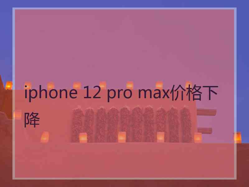 iphone 12 pro max价格下降