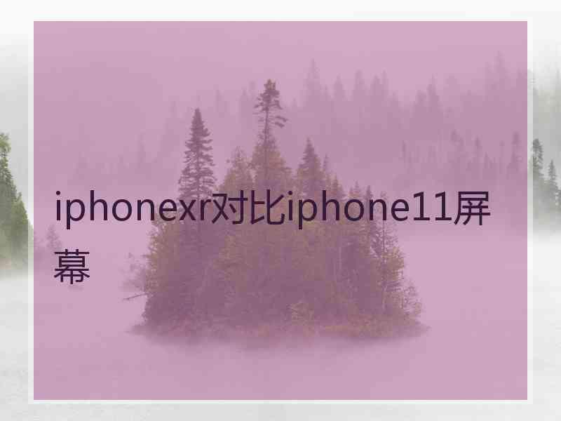 iphonexr对比iphone11屏幕