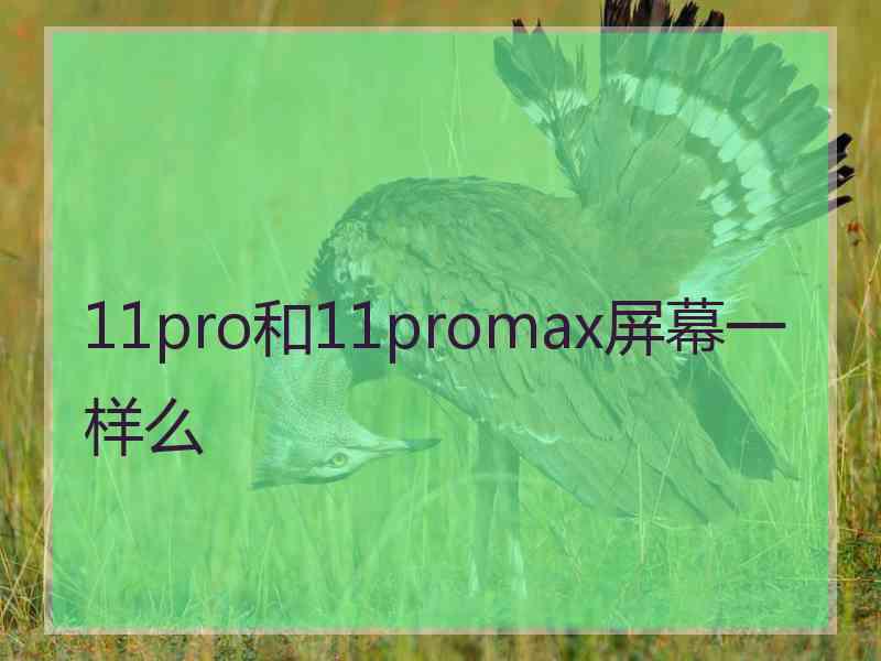 11pro和11promax屏幕一样么