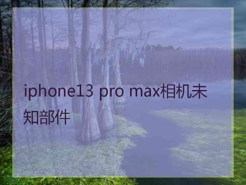 iphone13 pro max相机未知部件