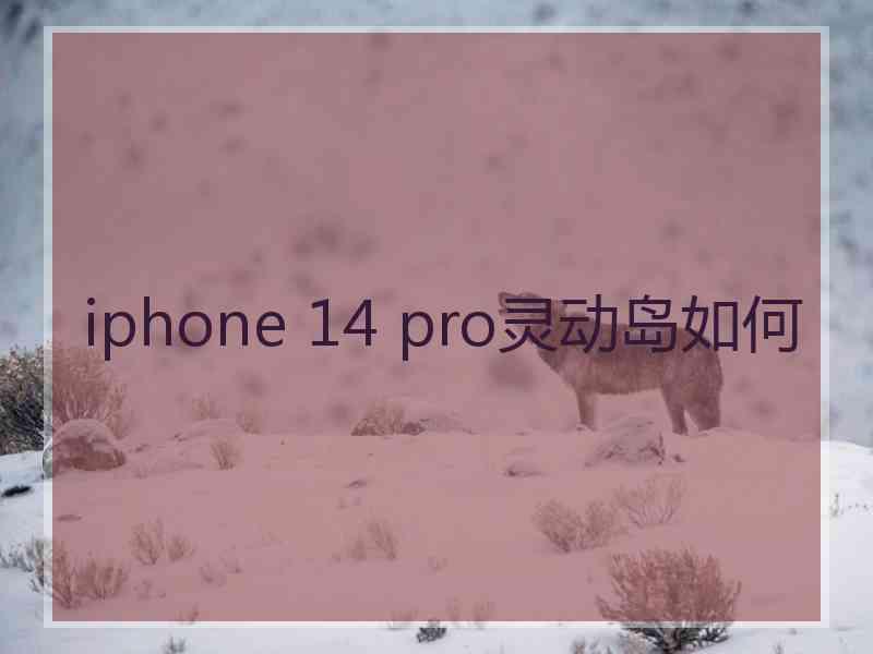 iphone 14 pro灵动岛如何