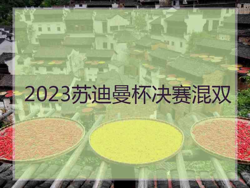 2023苏迪曼杯决赛混双