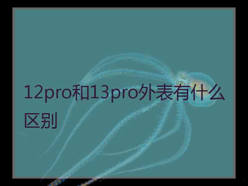 12pro和13pro外表有什么区别