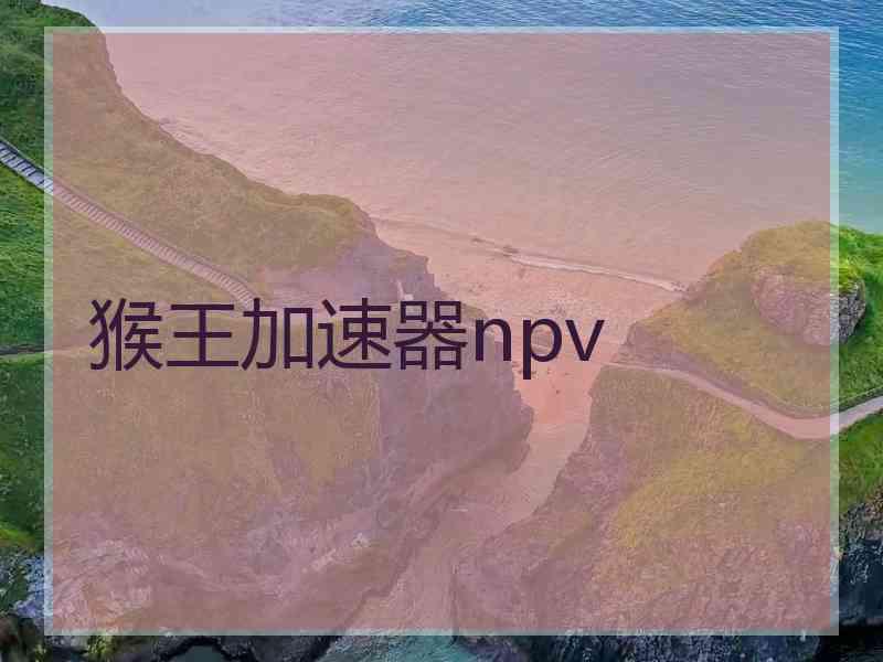 猴王加速器npv