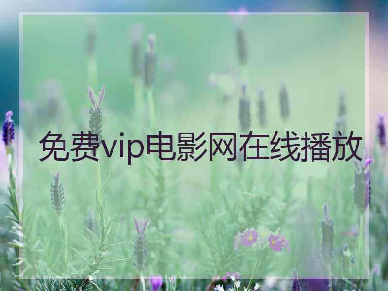 免费vip电影网在线播放