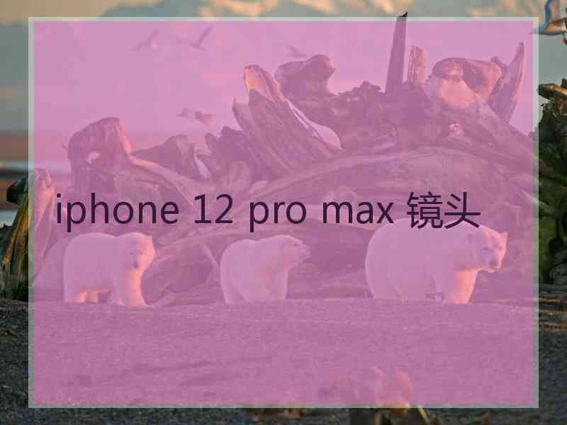 iphone 12 pro max 镜头