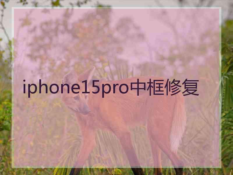 iphone15pro中框修复