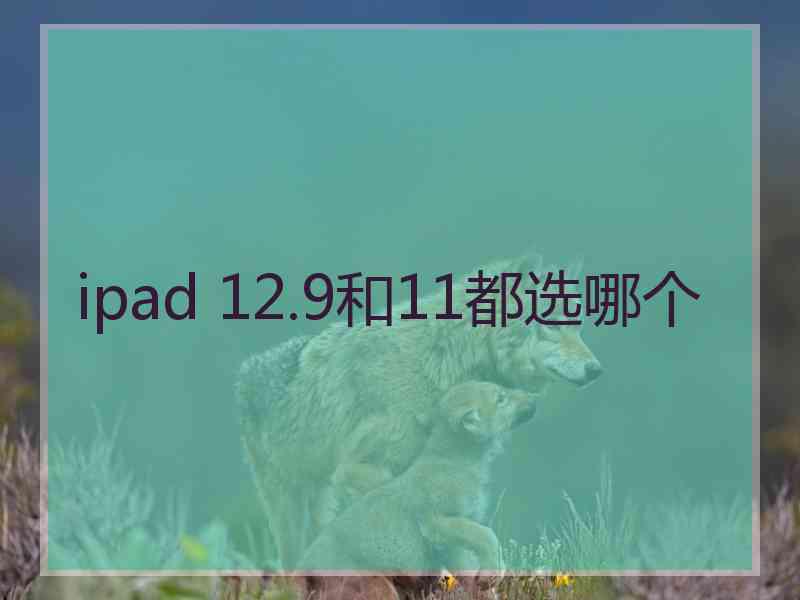 ipad 12.9和11都选哪个