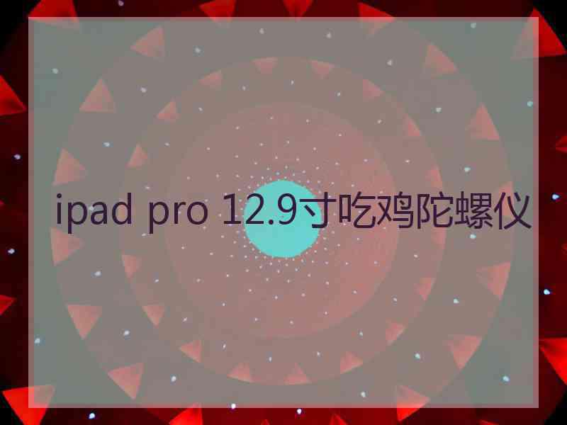 ipad pro 12.9寸吃鸡陀螺仪