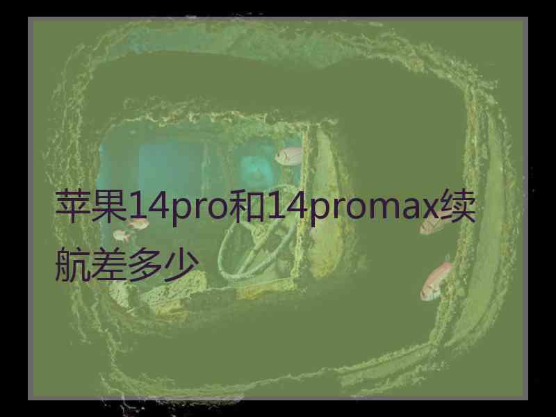 苹果14pro和14promax续航差多少