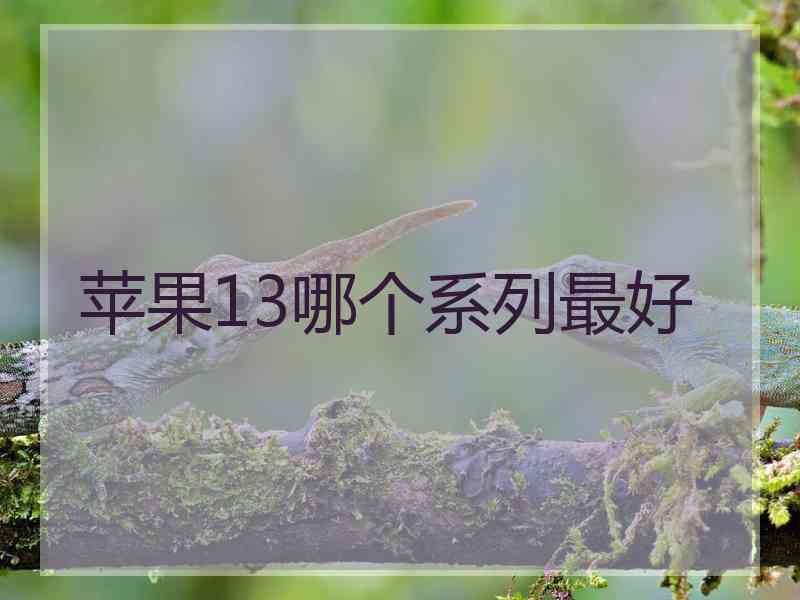 苹果13哪个系列最好