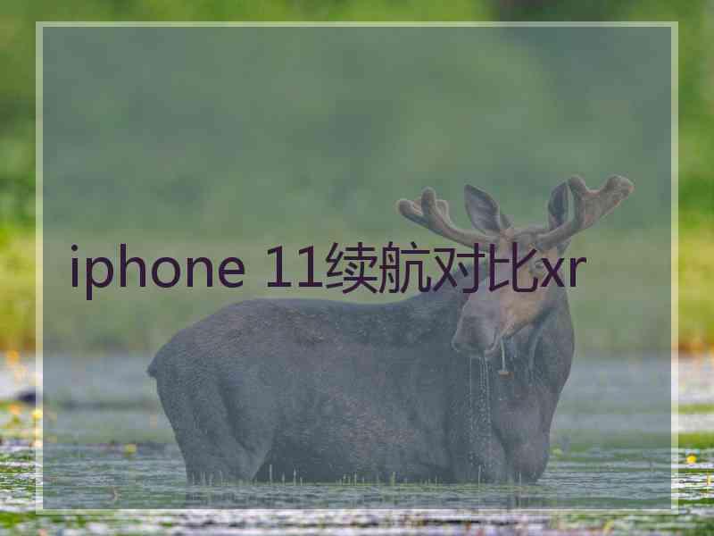 iphone 11续航对比xr