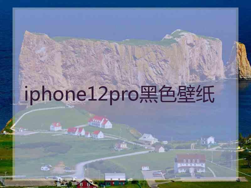 iphone12pro黑色壁纸