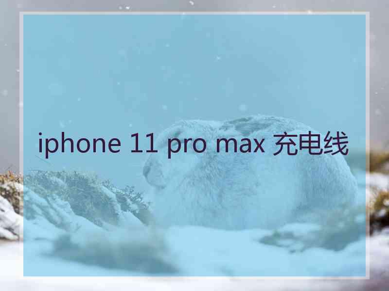 iphone 11 pro max 充电线