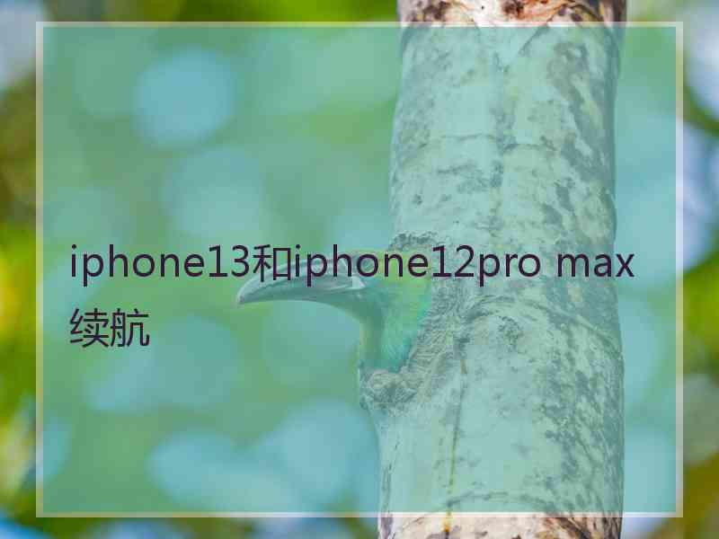 iphone13和iphone12pro max续航