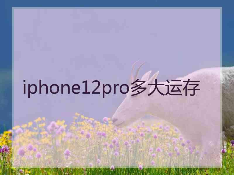 iphone12pro多大运存