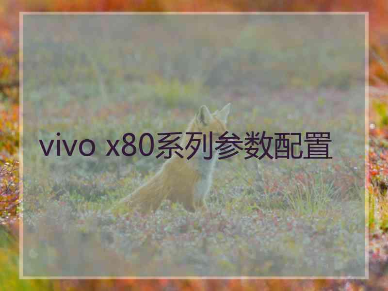 vivo x80系列参数配置