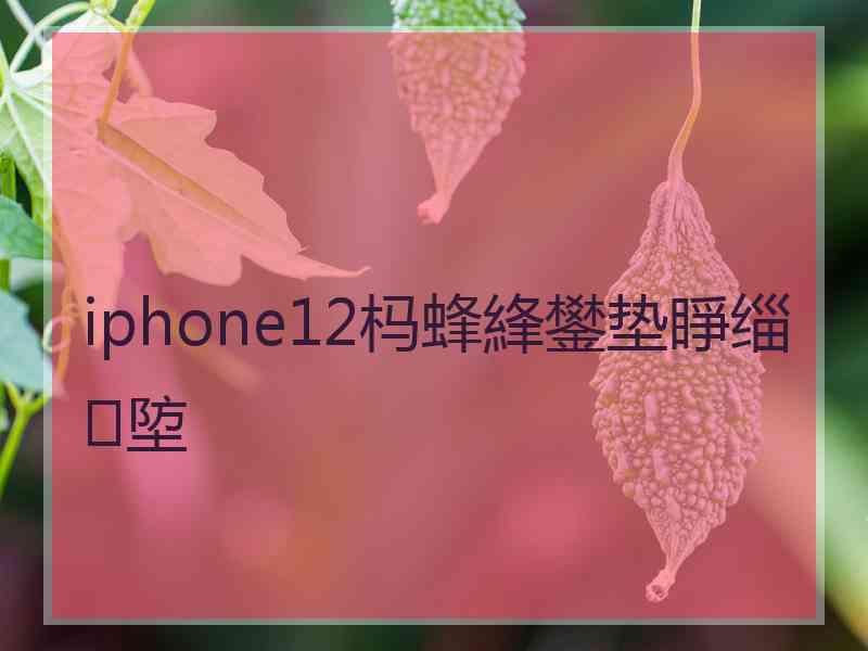 iphone12杩蜂綘鐢垫睜缁埅