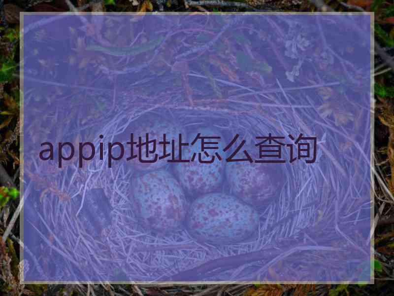 appip地址怎么查询