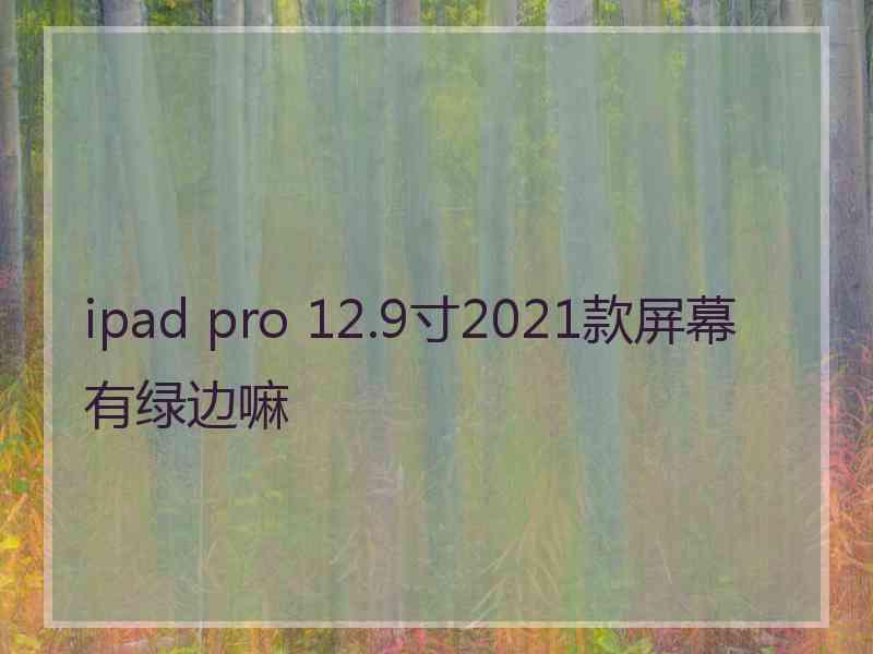 ipad pro 12.9寸2021款屏幕有绿边嘛