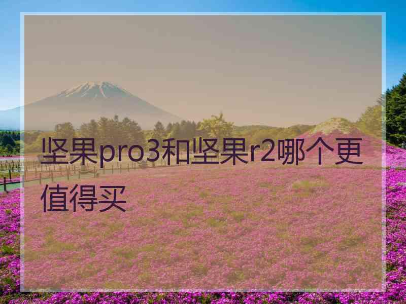 坚果pro3和坚果r2哪个更值得买