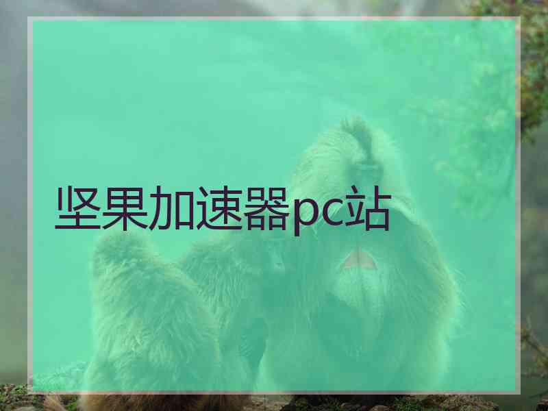 坚果加速器pc站