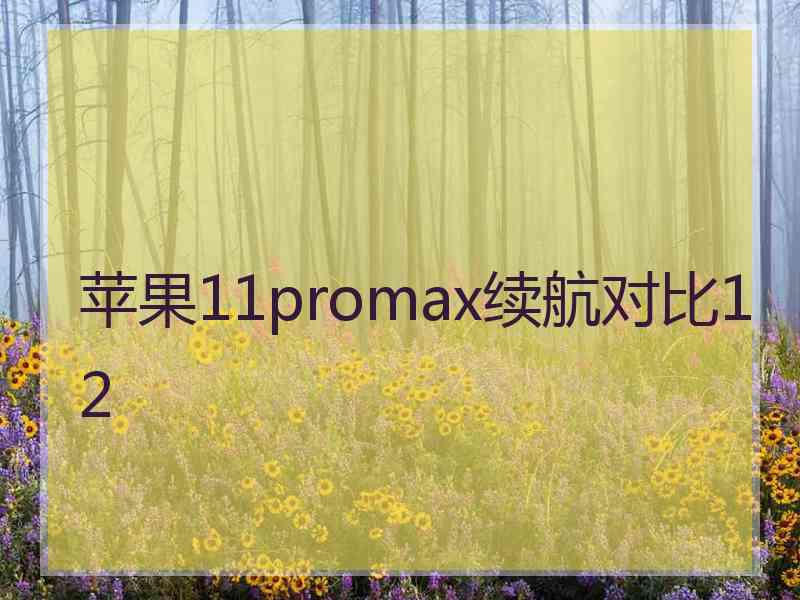 苹果11promax续航对比12