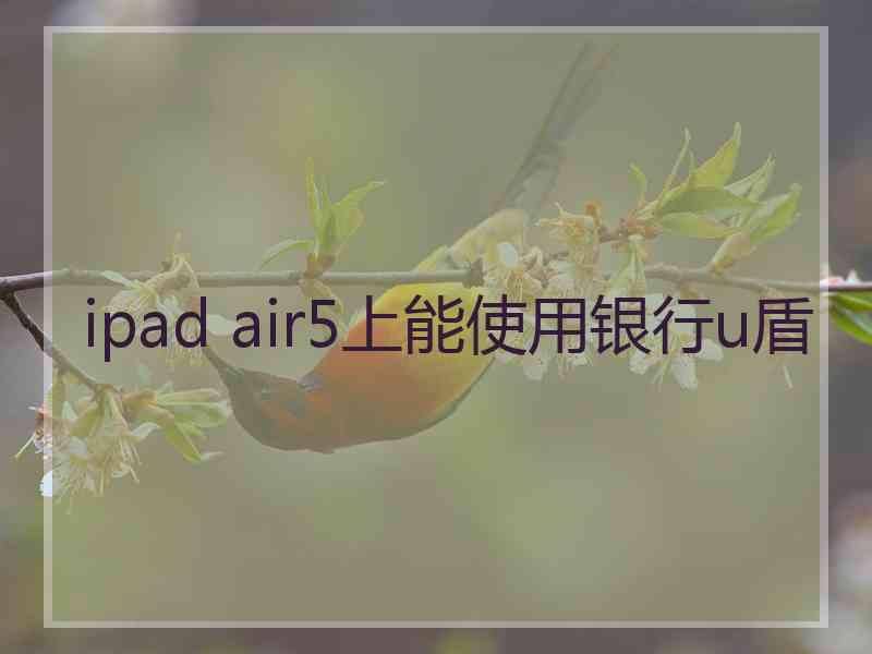 ipad air5上能使用银行u盾