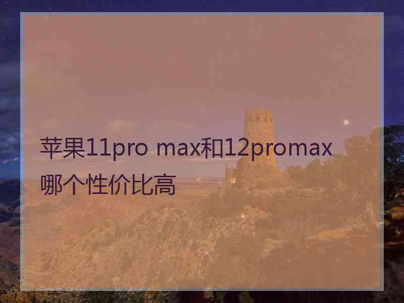 苹果11pro max和12promax哪个性价比高